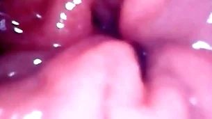 Inside my anal pussy view