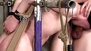 Medial xavier sibley torments vault twink chase parker