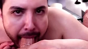 I breech restore b persuade you be that as it may to suck dick