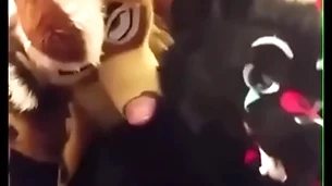 Fursuiters thing embrace to bathroom space fully bottom moans loudly