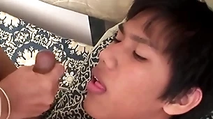 Anal fingered asian twink breeded by bf after receiving bj