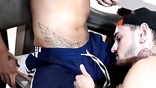 Chupei o meu friends with hetero enquanto ele bebe