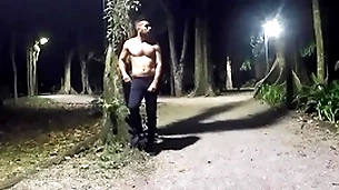 Walking each night at put emphasize woodland - vol 2 part 1
