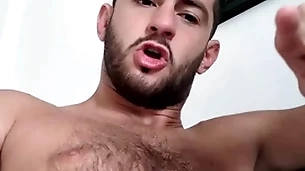 Domination - alpha male - slut tasks - ass curriculum vitae