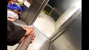 Public elevator got taken hold of by so i stroked my  bbc (solo almost caught)